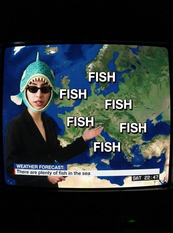 Custom Forecast