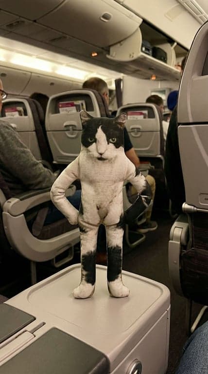 Shrunken Rat Doll - Custom Pose Travel Edition 2